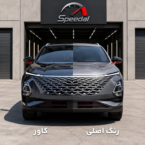 ضرورت نصب کاور بدنه فونیکس FX